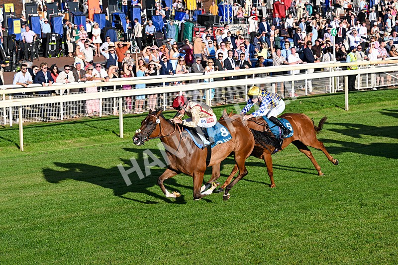 240726-Race 4-Rajaking-0433 - Race 4 19.15pm Tomahawk Handicap