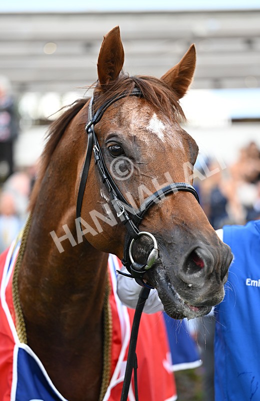 220826-111 Notable Speech - Race 3 15.00pm Sky Bet City Of York Stakes