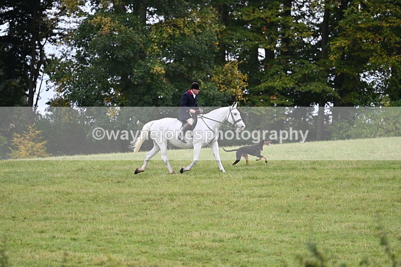 WJ7_4021 - Camera 1 Line 2