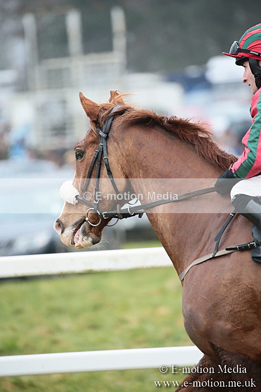 PtP 170219 -370 - Combined Services Point-To-Point Larkhill 17/02/19