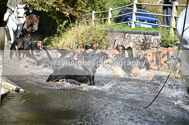WJ7_5969 - Hounds Water Crossing