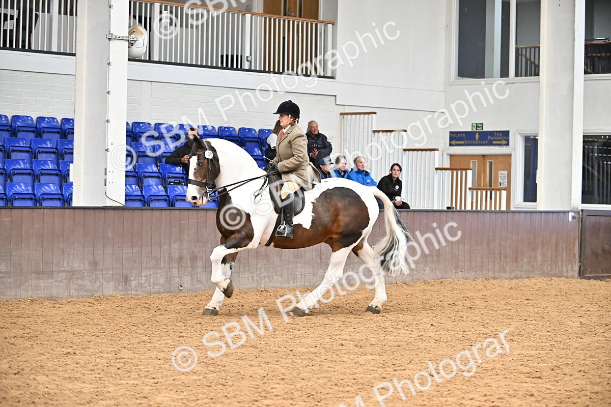 SBM_001317 - Class 18 - Ridden Cob