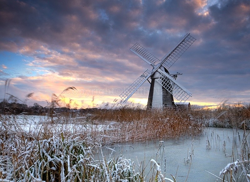 Winter at Herringfleet - 2010