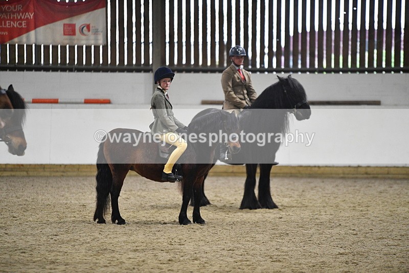 WJ5_8548 - Class 14 Novice Ridden/Rider