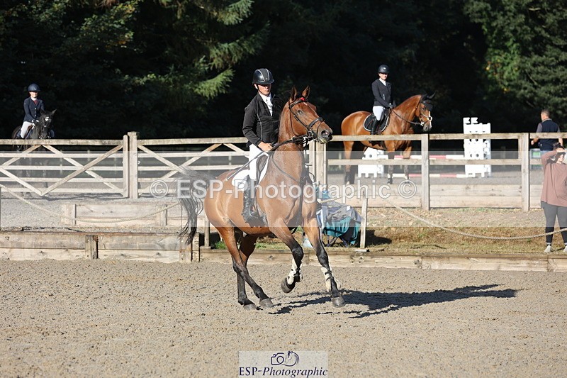 250829A-084050-00046 - Cls 6 85cm Amateur Quali