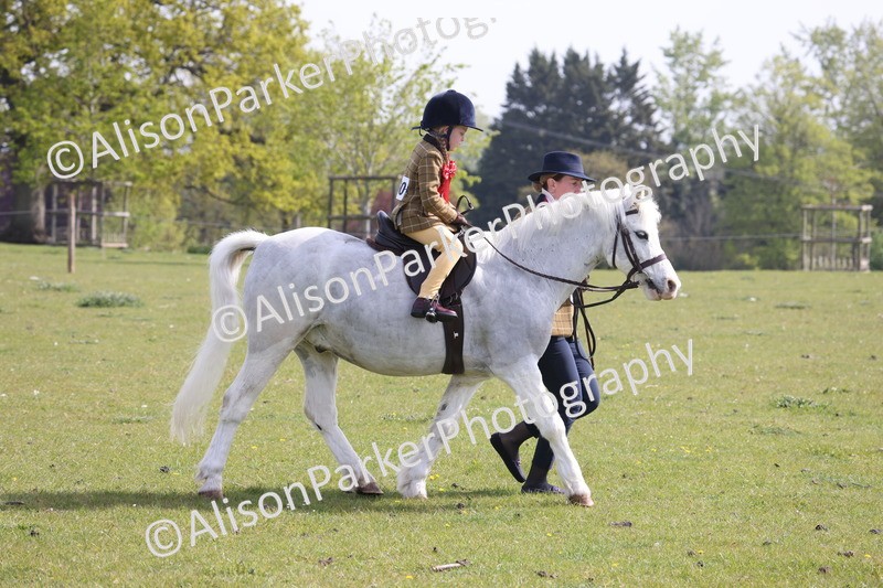 20260426-0603 - Class 31 - Leading Rein