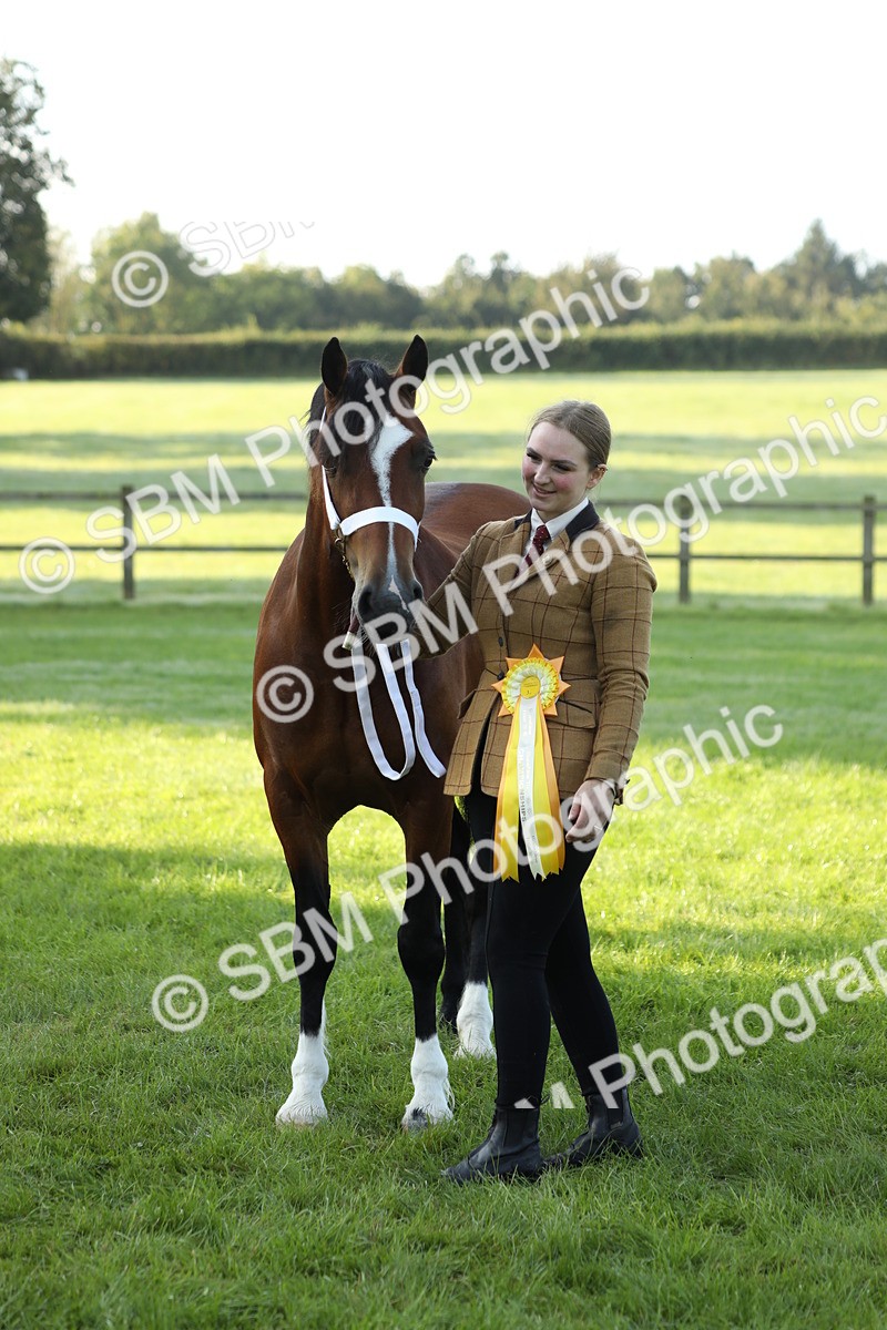 SBM_57980 - S42 - Youngstock