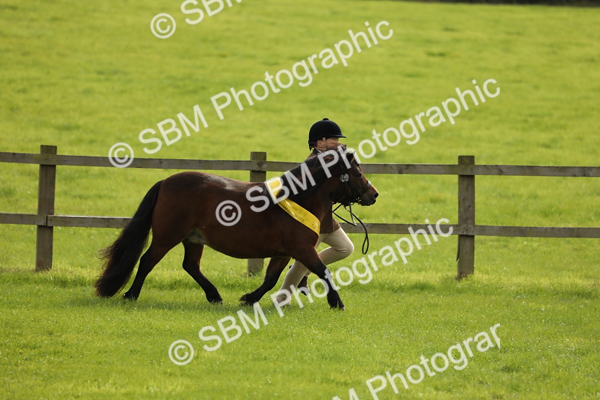 SBM_68776 - S40 - Junior Handler 9-12 Years