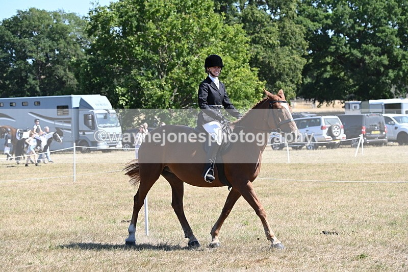 WJ6_8335 - Class 37a Best Loan Pony Ridden
