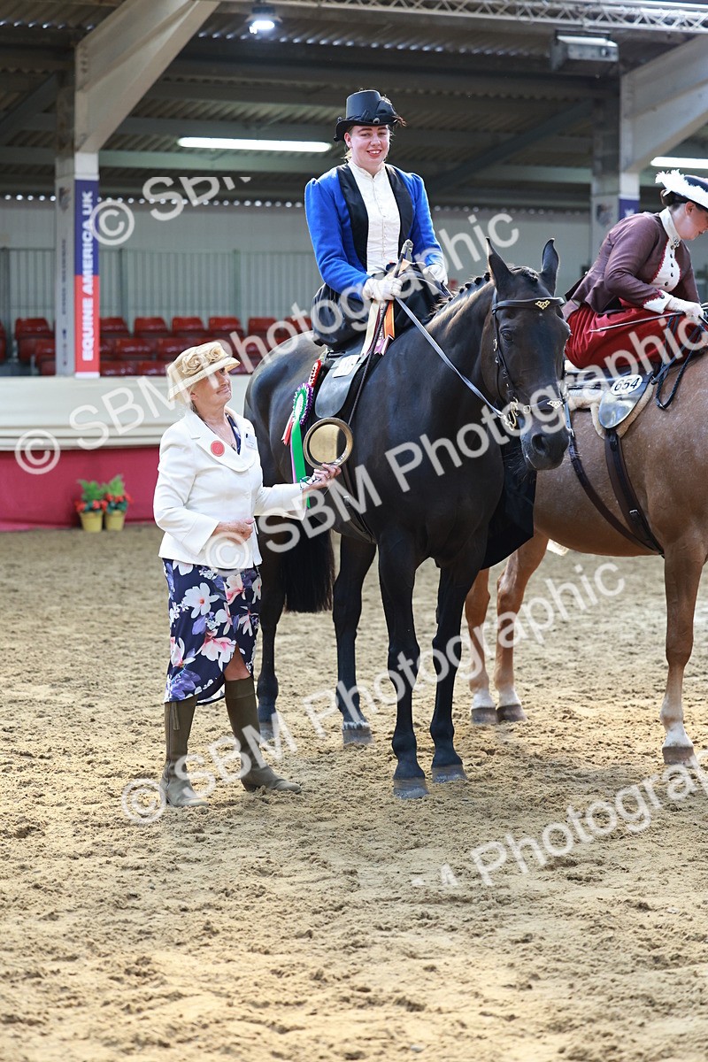 SBM_13630 - Class 105 - Ridden Costume - Side Saddle