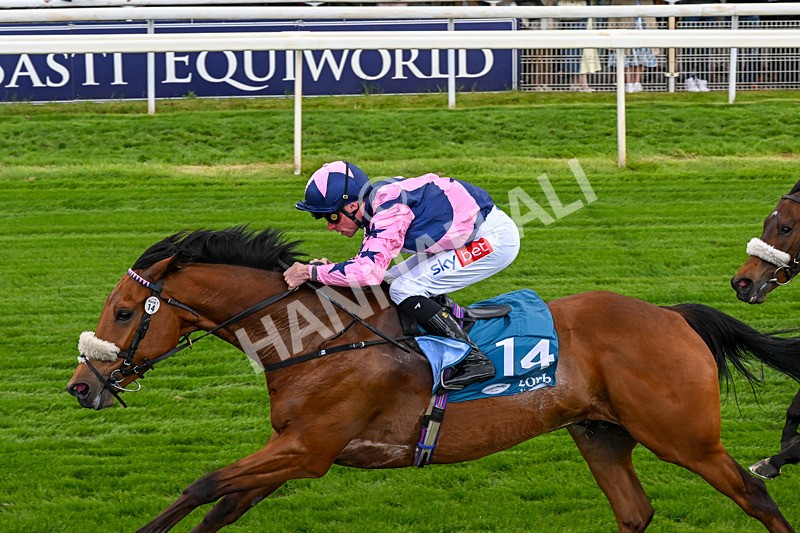150526-Race 1-Zarathos-0069 - Race 1 1.45pm Yorkshire Equine Practice Handicap