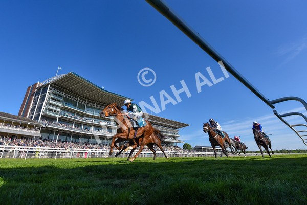 140525-Race 6-Ballistic Missile-2 - Race 6 4.55pm British Stallion Studs EBF Novice Stakes