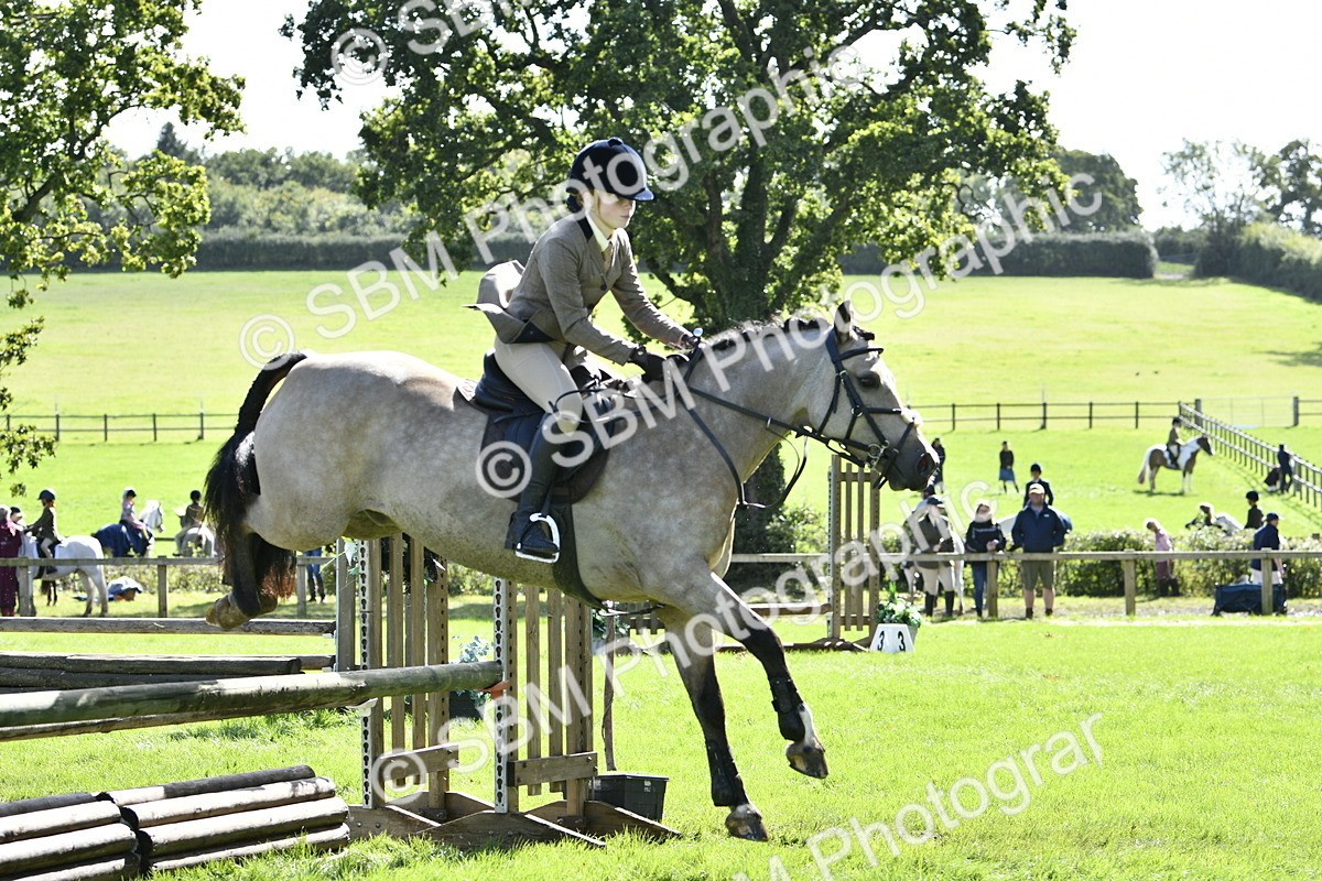 SBM_45726 - S33 - Working Hunter Pony