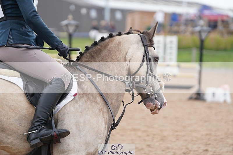 240901A-132114-07717 - 335-Charlie.Piper-JUST.SID