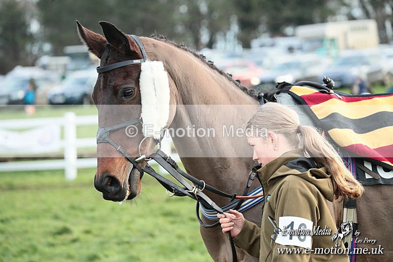 PtP 141225  2206 - New Forest Hounds PtP Larkhill 14/12/25
