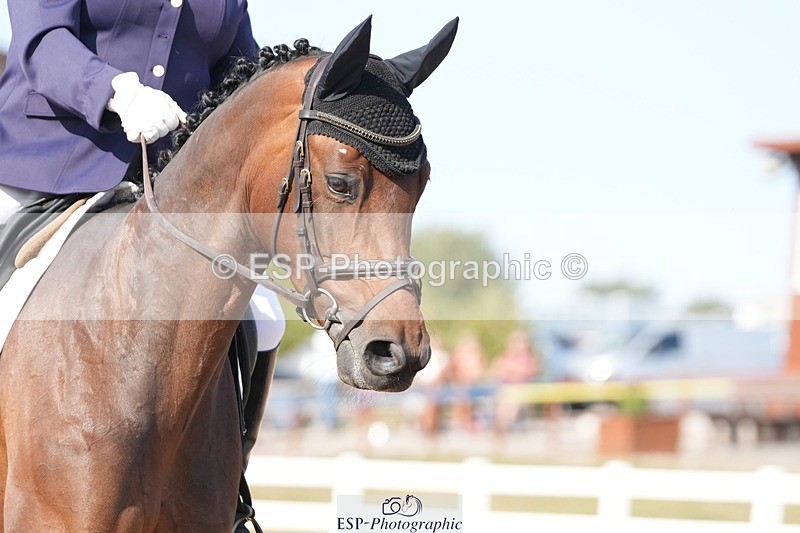 250817-165432-11977 - 211-Carey.CollettRubin's.Fanfare