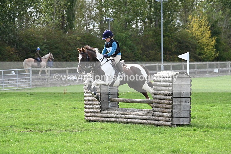 WJ7_8471 - 60cm Pairs