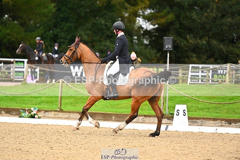 231021-120441-15052 - 345-THE.PREACHER.MAN-David.Doel-DR