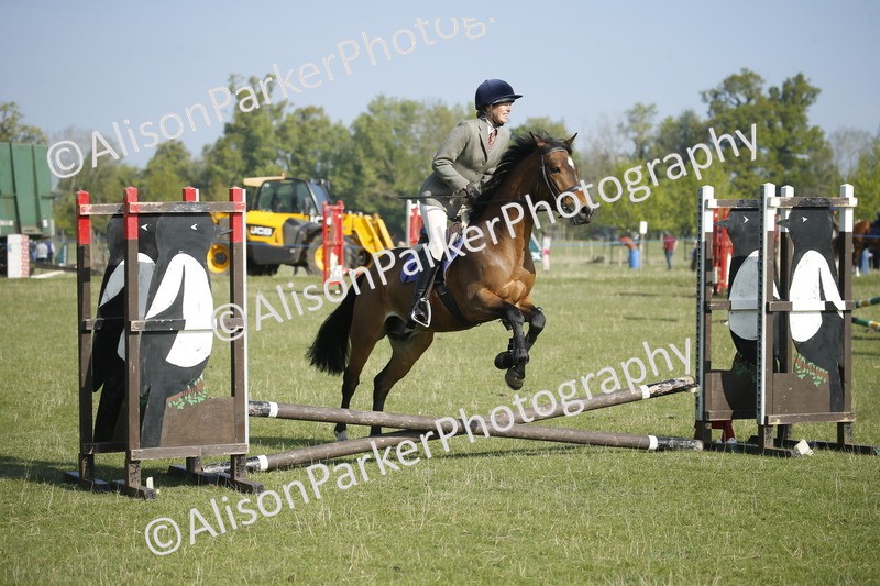 20250427-0232 - Class 12 - Rookie Jumping 40cm