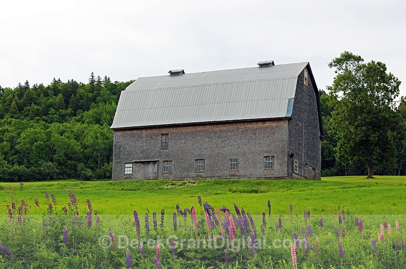 Vintage Bates Barn, Rural New Brunswick Canada - Old Barns & Buildings