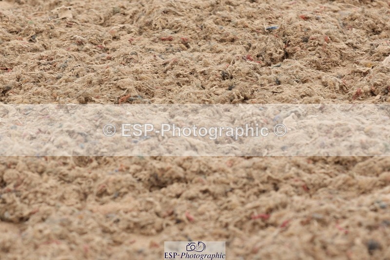 240622A-134402-11831 - Cls 29 BD Elementary 45