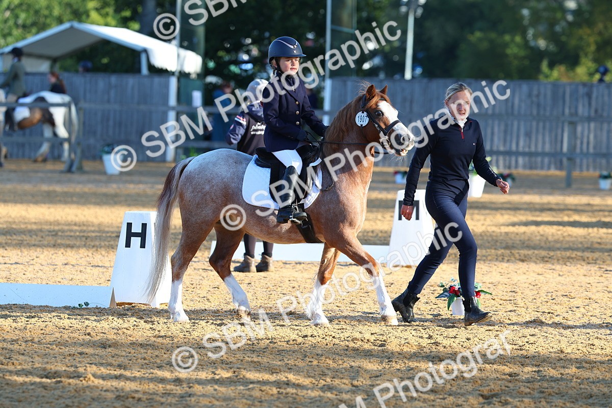 SBM_33487 - D26 - Test Starter Test 1