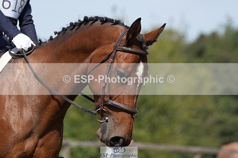 250823A-115348-29227 - Arena A