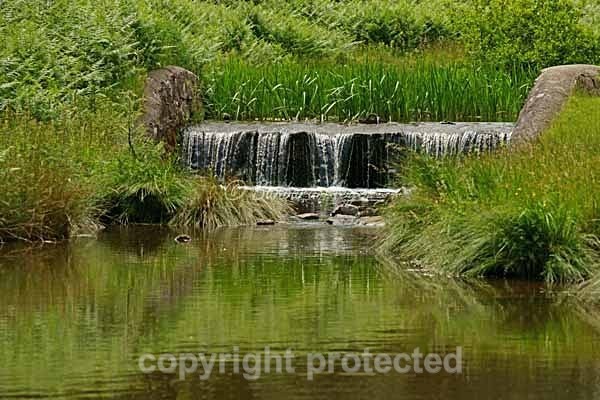 Waterfall in River Lin - Bradgate Park - Bradgate Park
