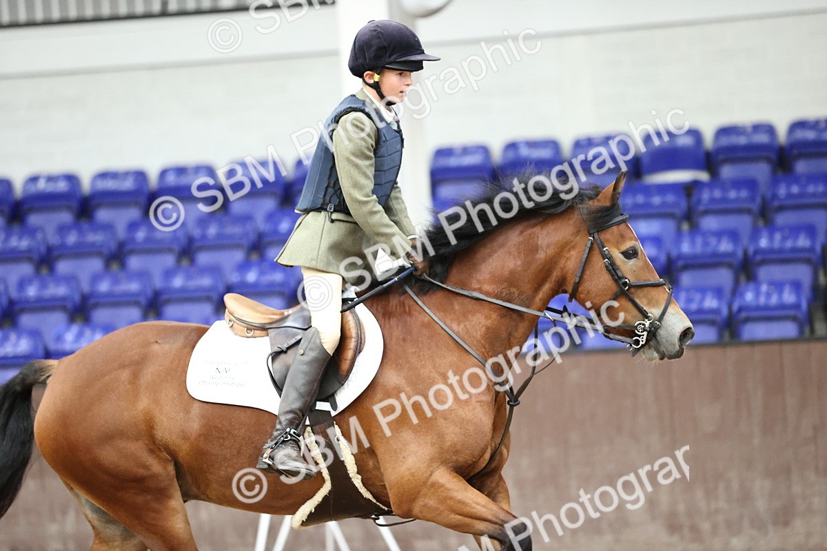 SBM_002140 - Class 10 - Pony British Novice 80cm Open
