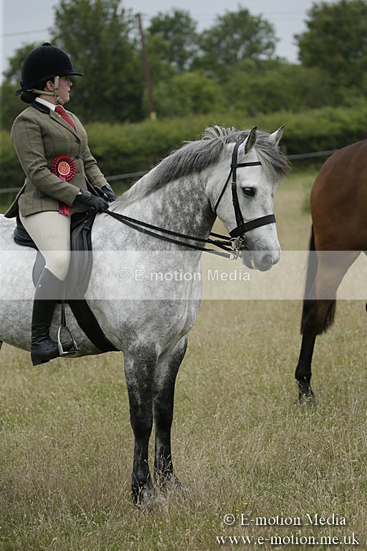 B230619-0947 - Bourne Valley Riding Club Summer Show 23/06/19