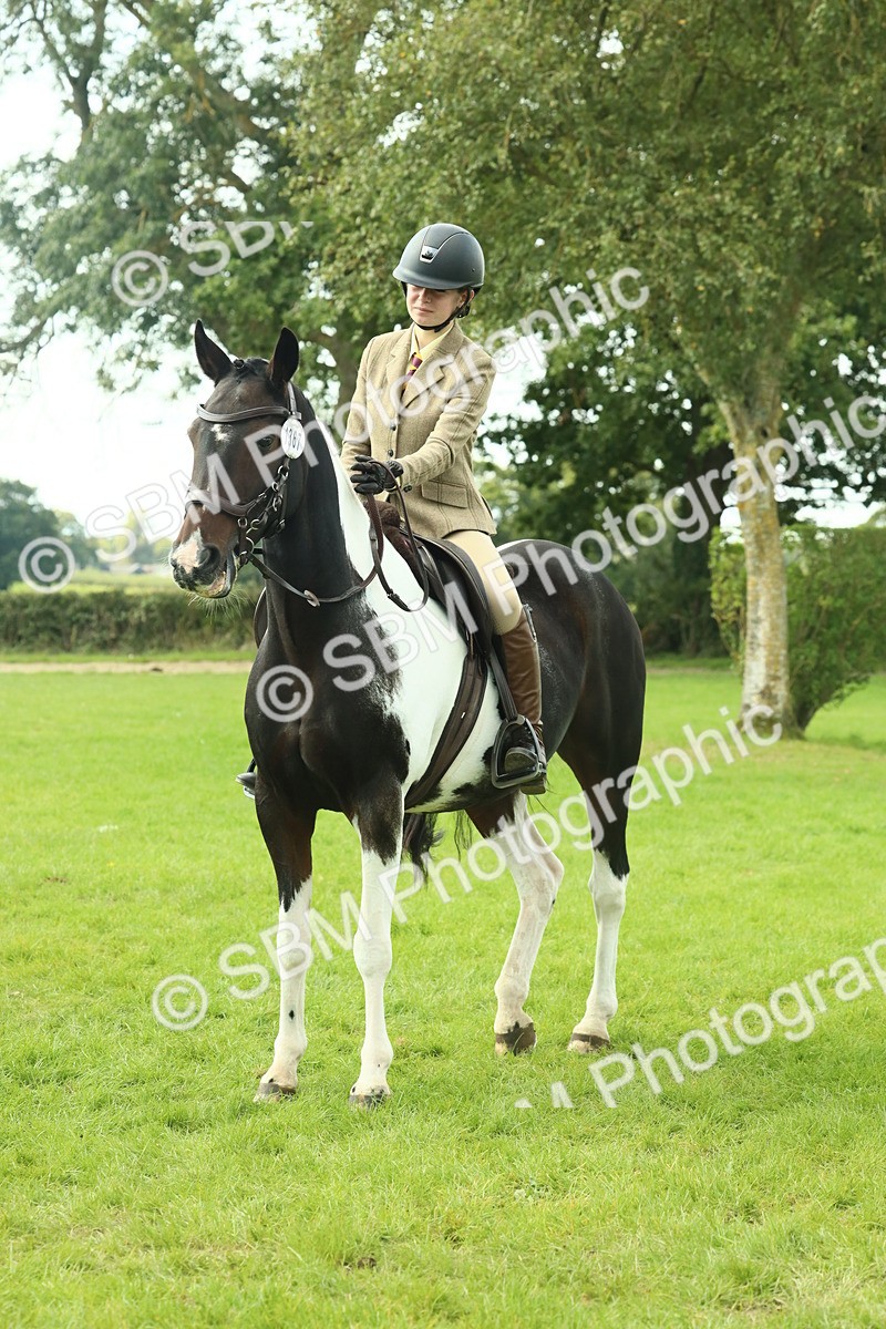 SBM_66476 - S34 - Rehabilitated Rescue Horse & Pony In Hand & Ridden