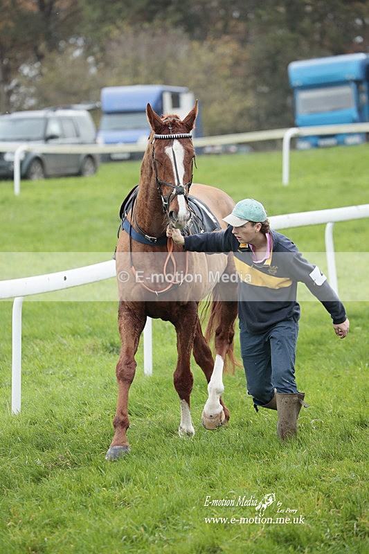 PtP 271122 214 - Hursley Hambledon Hunt Point-to-Point - Larkhill - 27/11/22