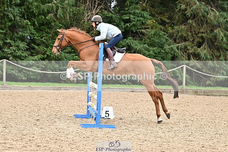 250201A-115850-00558 - Cls 02 Local Horse 100cm