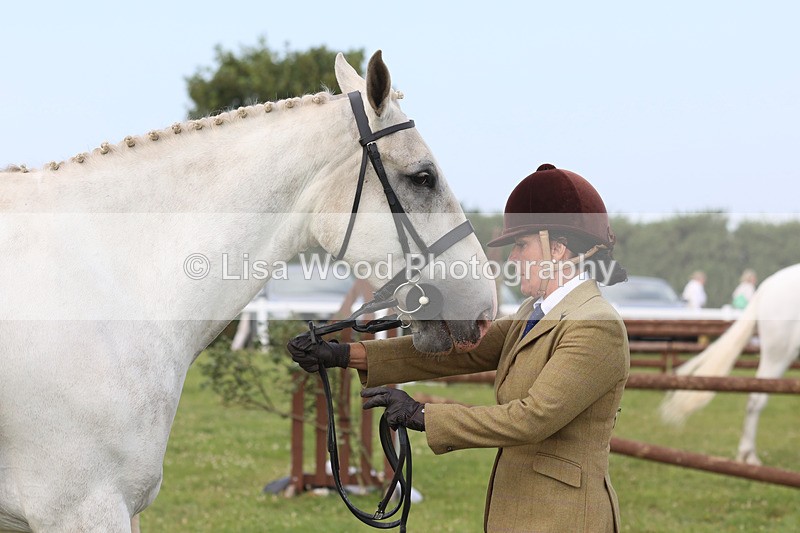 JPP_3927 - Class 23: Working Hunter 80cm