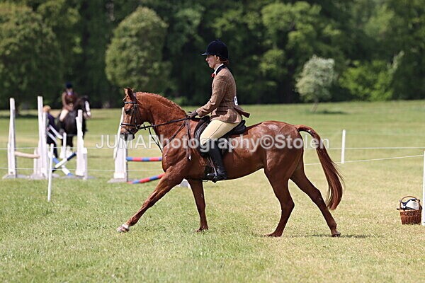 IMG_3311 - Working Hunter