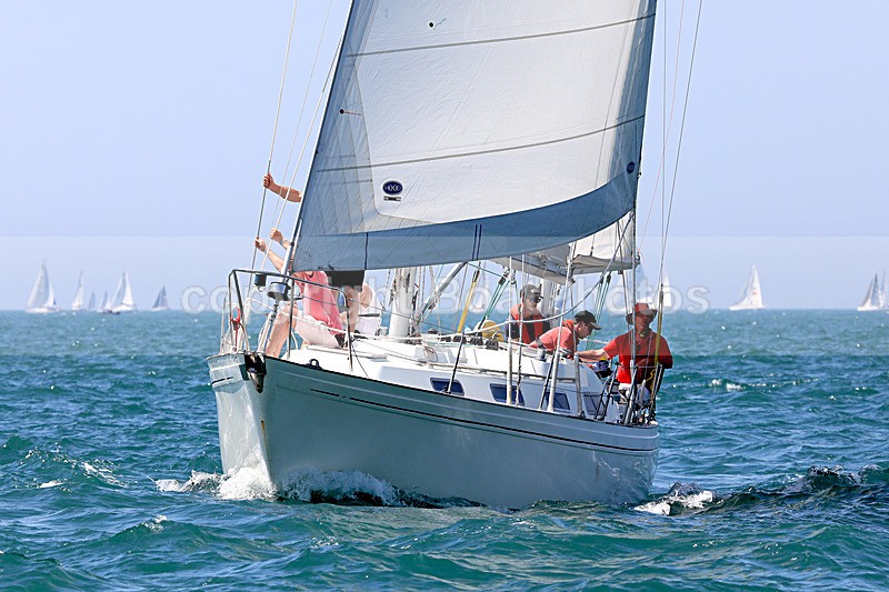 190629 SEA THYME GBR3571L 1Y3A0423_Edit - 170701 SEA THYME GBR3571L