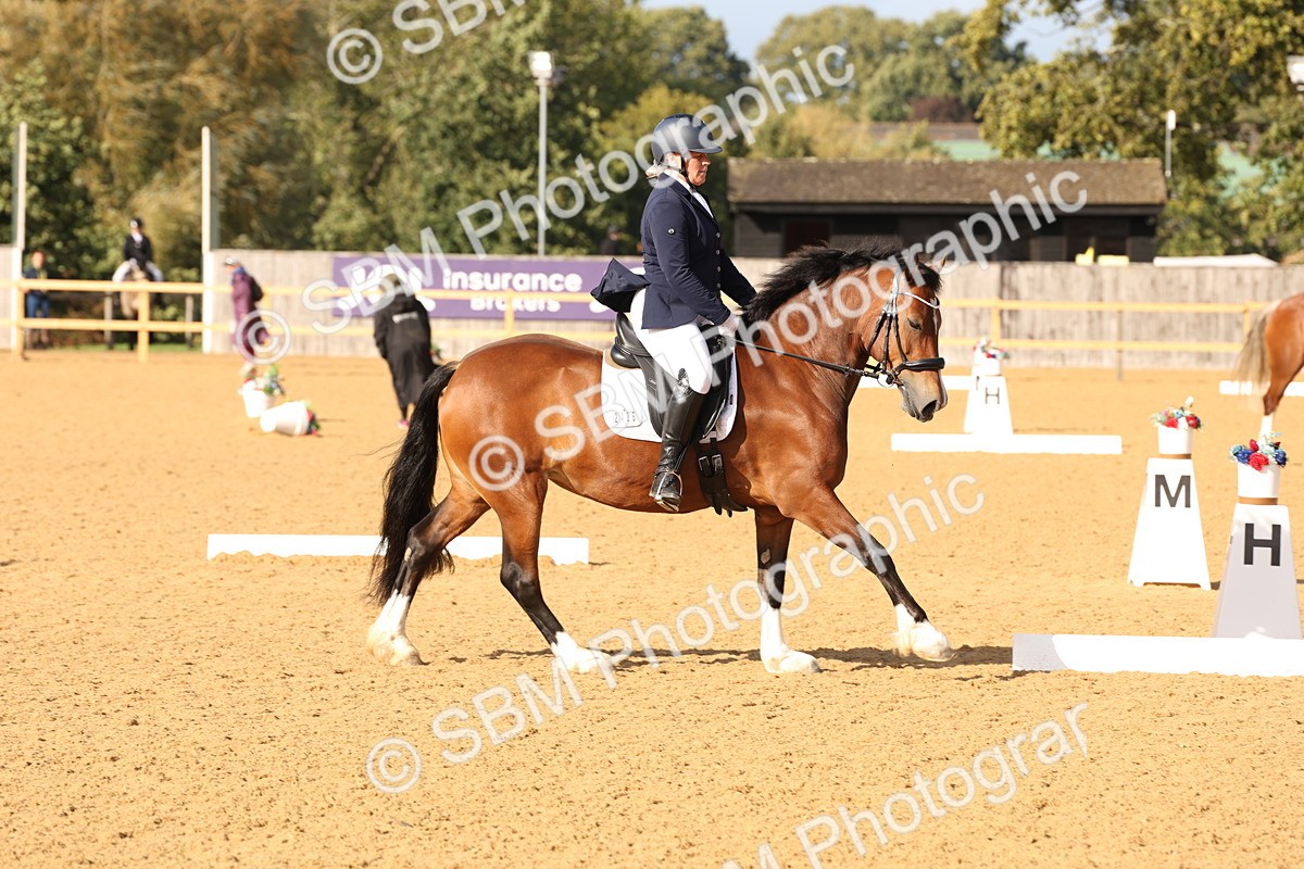 SBM_27013 - D17 - Grand Tour Championship Novice 3