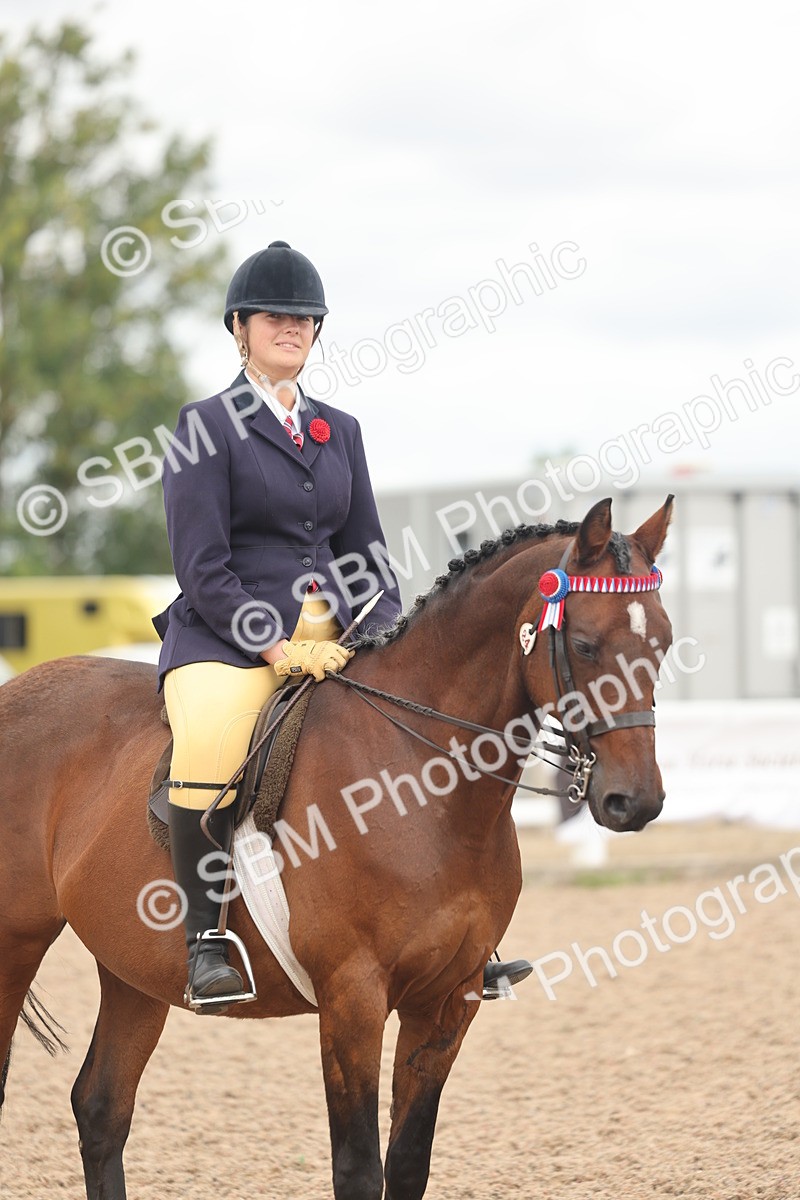 SBM_16028 - Class 311 - Ridden Show pony-Show hunter Pony