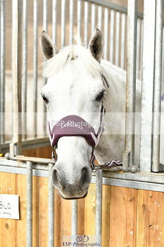 230804A-094400-02176 - Stable Shots