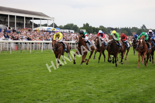 yr20082021r6-21 - Race 6 4.40pm Assured Data Protection British EBF Fillies' Stakes