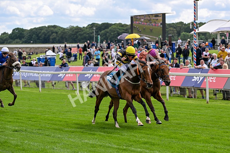 120626-Race 4-Big Negotiator-7522 - Race 4 15.35pm Juddmonte EBF Fillies' Restricted Novice