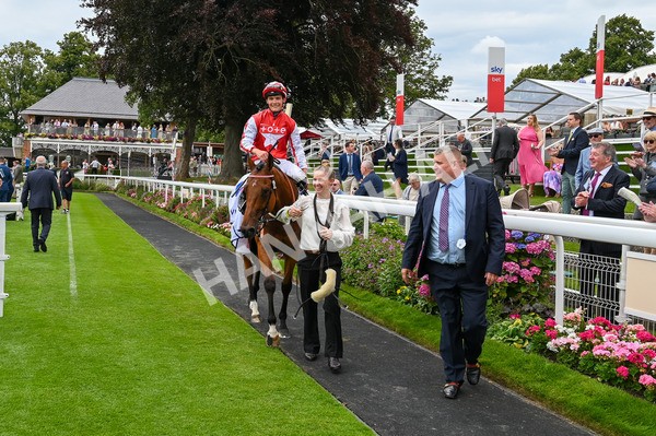 270724-Race 1-Night On Earth-9117 - Race 1 2.05pm Sky Bet 'Jump Jockeys' Nunthorpe' Handicap