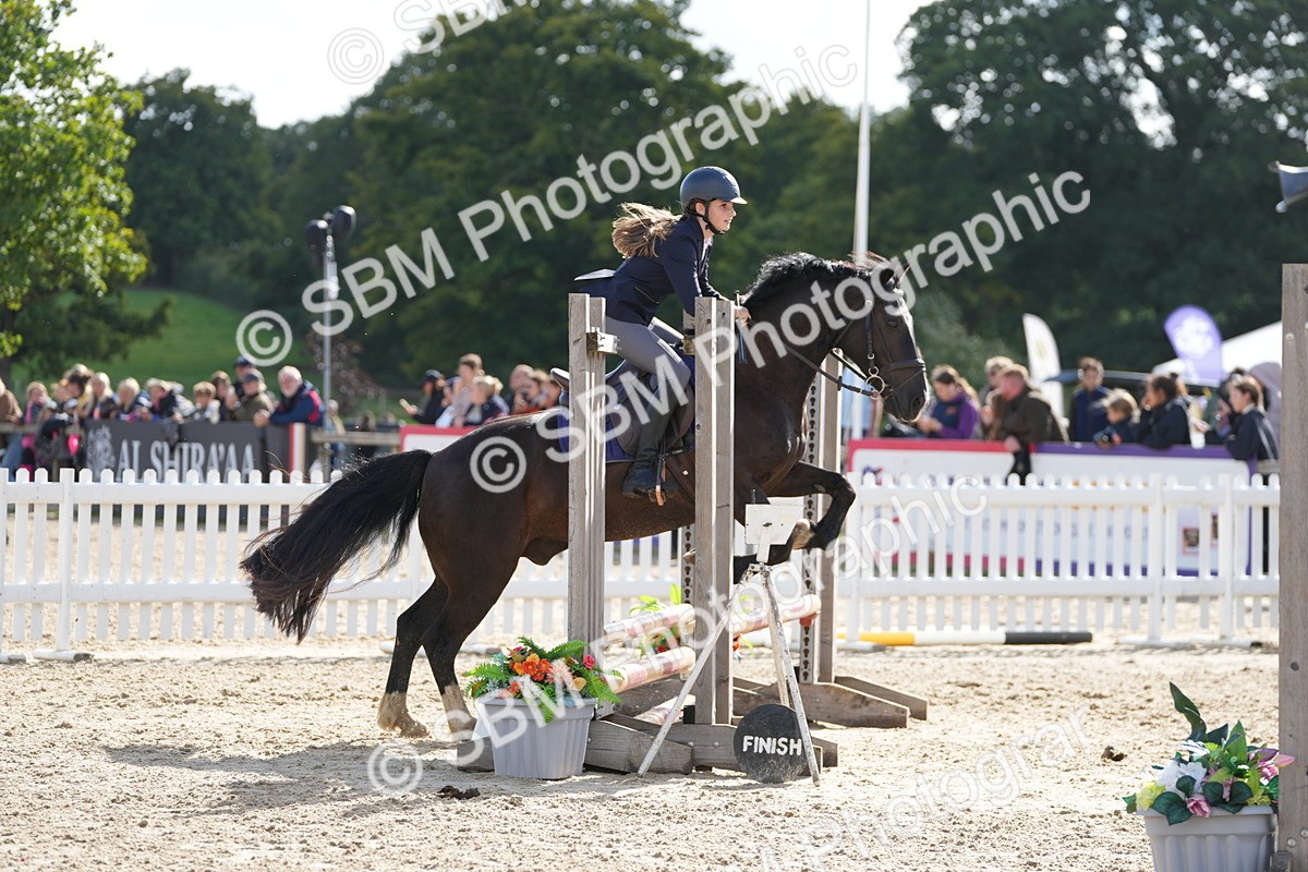 SBM_48575 - J7 - Junior Pony 60cm Championship