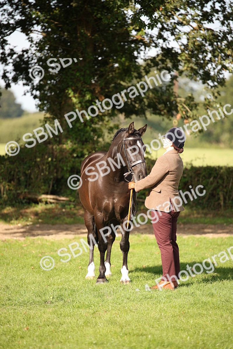 SBM_60128 - S53 - Hunter In Hand