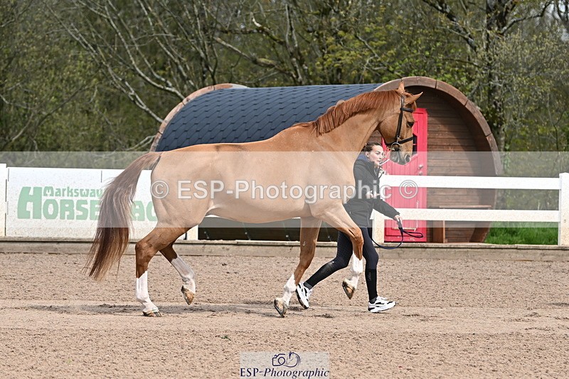 240417A-113154-00022 - 11am to 12pm