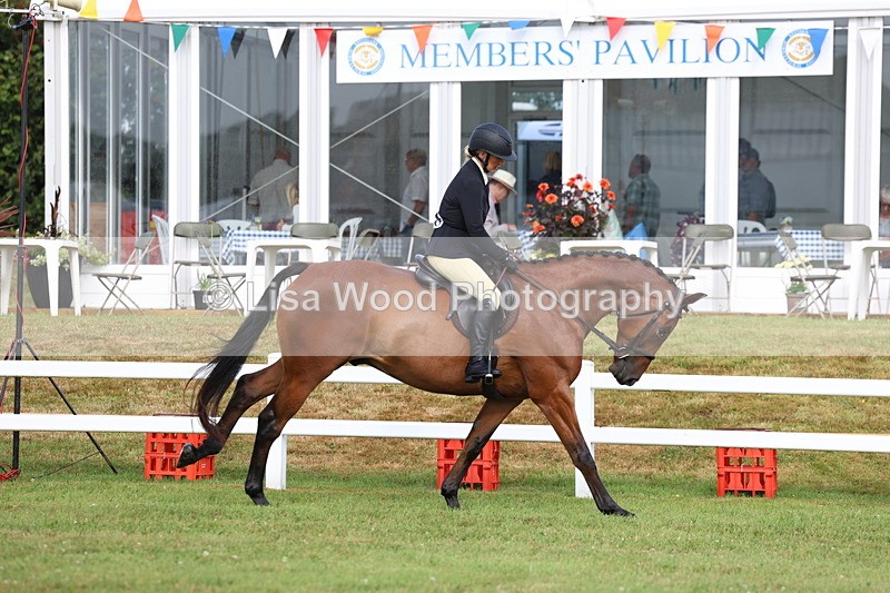 3E7A8138 - Class 2: Rising Star Large Hack/Riding Horse