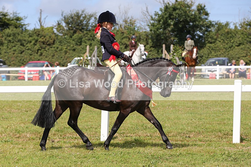 1X9A3862 - Plaited Mini Ridden Championship