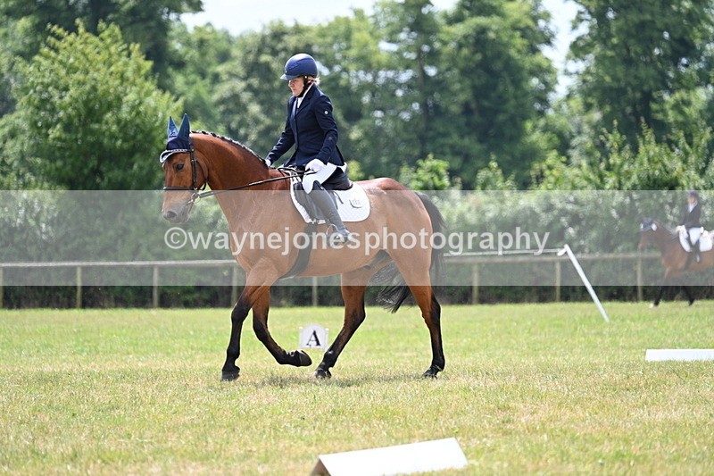 WJ7_5527 - Time 11:52 to 12:10