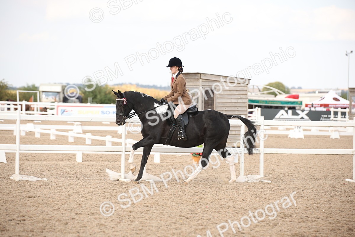 SBM_08792 - Class 12R Regional Ridden Pre-Vet