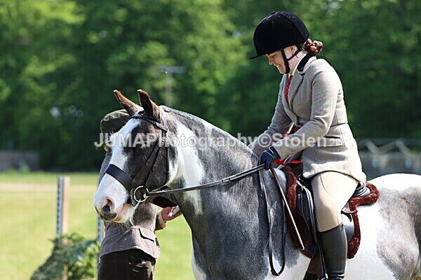 IMG_3462 - Working Hunter